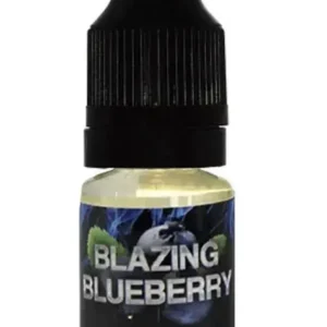 Buy Blazing Blueberry Liquid Incense Online